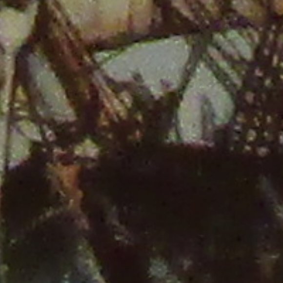 PAINTED CHINA PLATE:The Twighlight Under Full Sail - Picture 6 of 11